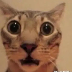 Meet your Posher, Kolton